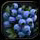 Mottleberries