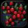 Roseberries