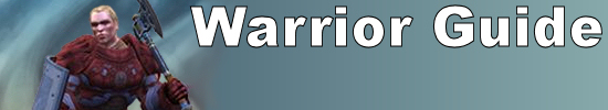 Warrior Class Guide