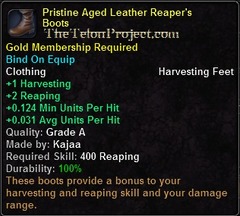 In-game tooltip for Pristine Aged Leather Reaper's Boots