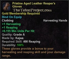 In-game tooltip for Pristine Aged Leather Reaper's Gloves