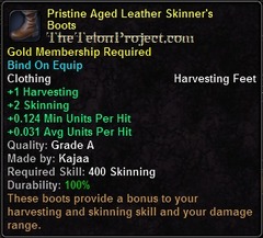 In-game tooltip for Pristine Aged Leather Skinner's Boots