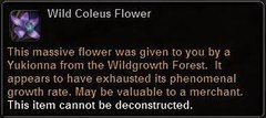 In-game tooltip for Wild Coleus Flower