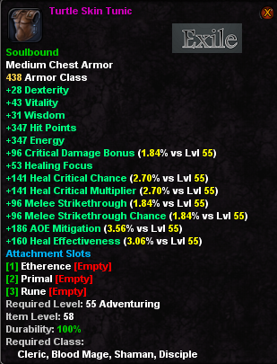 In-game tooltip for Turtle Skin Tunic