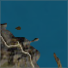 Eastwatch