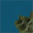 Isle of Dawn