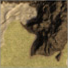 Sands Of Sorrow