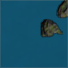 Sea Of Kojan
