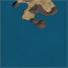 Shimmering Sands
