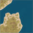 Silius Flats