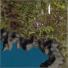 The Forgotten Battlefield