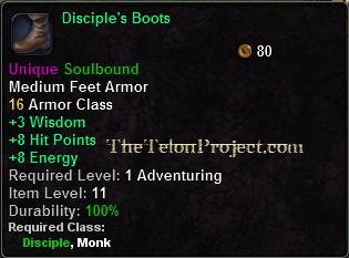 In-game tooltip for Disciple's Boots