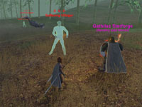 Part 2 - Tsang's Advisor